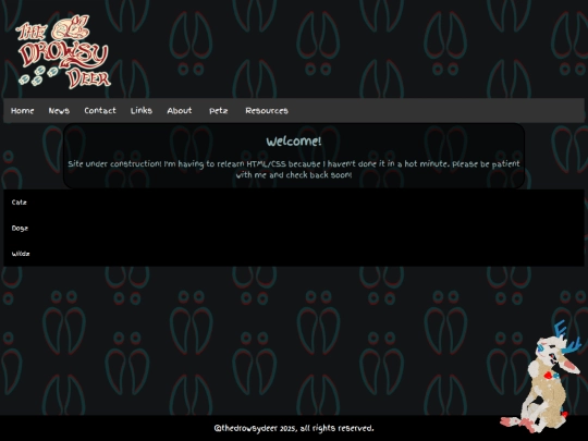 downloadz screenshot