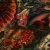 hyperdontium-exe.neocities.org avatar