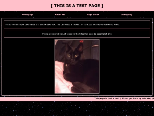 testingbay screenshot