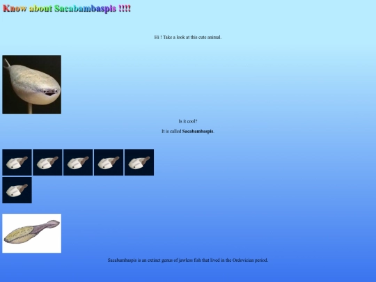 fish screenshot