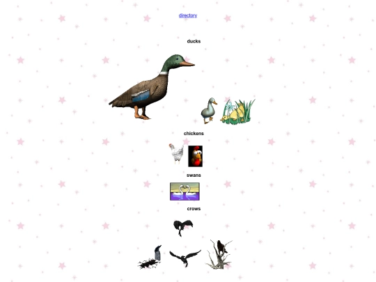 graphics/birds screenshot