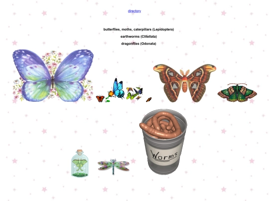 graphics/insects screenshot