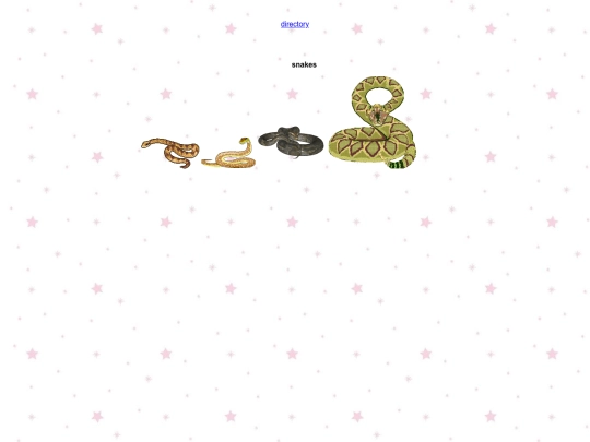 graphics/reptiles screenshot
