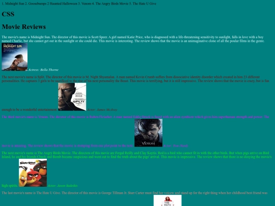 css screenshot