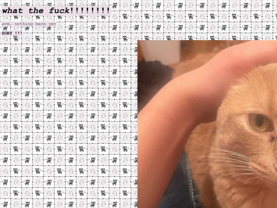 diary screenshot