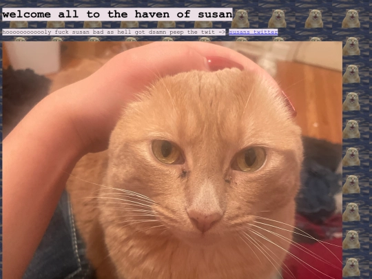 susan screenshot