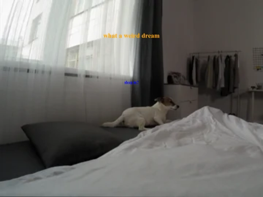 wakeup screenshot