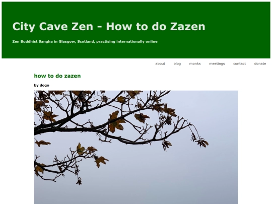 how to do zazen screenshot