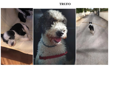 trufo screenshot