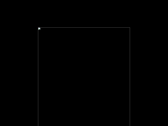 OneElephant screenshot