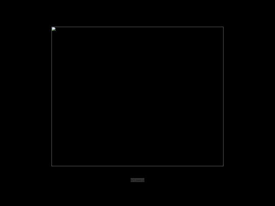 TwoOwls screenshot