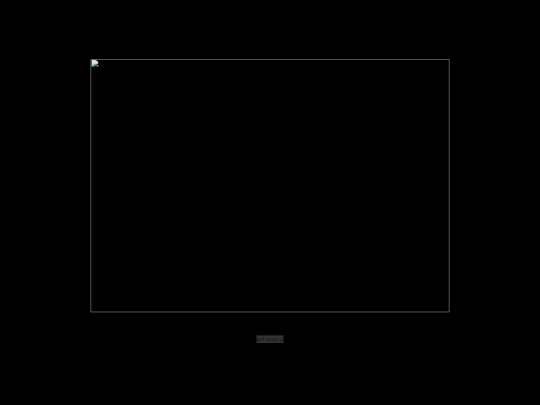 black_cats screenshot