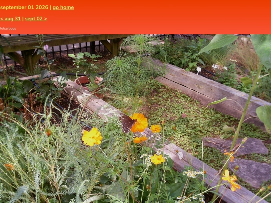 pics/sept26/01 screenshot