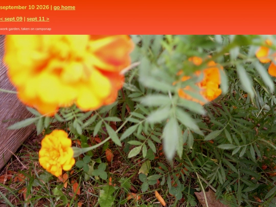 pics/sept26/10 screenshot