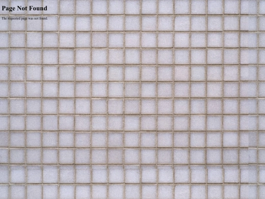 roof screenshot