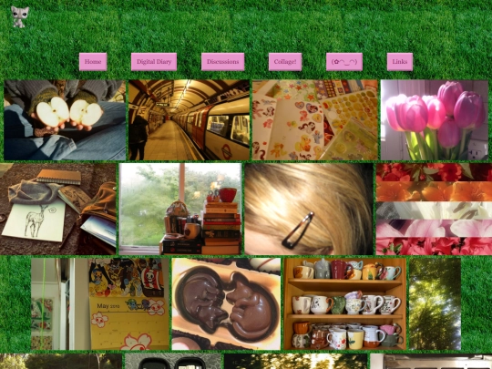 collage screenshot