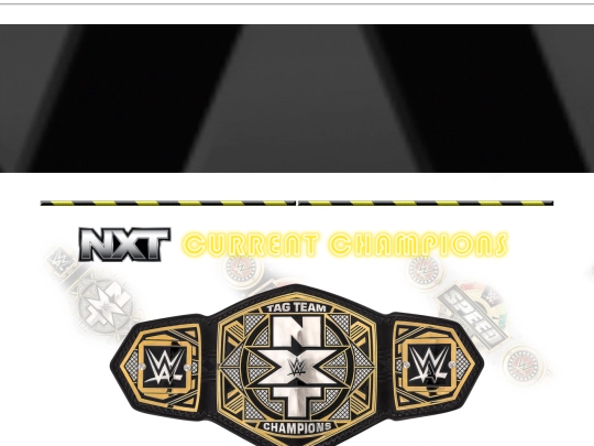 wwenxttagteamchampionship screenshot