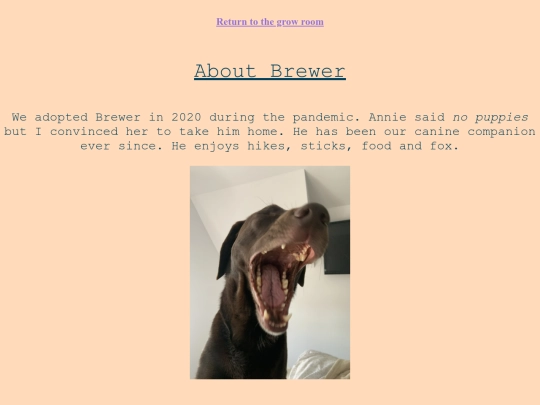 aboutbrewer screenshot