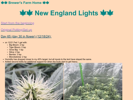 newenglandlights screenshot