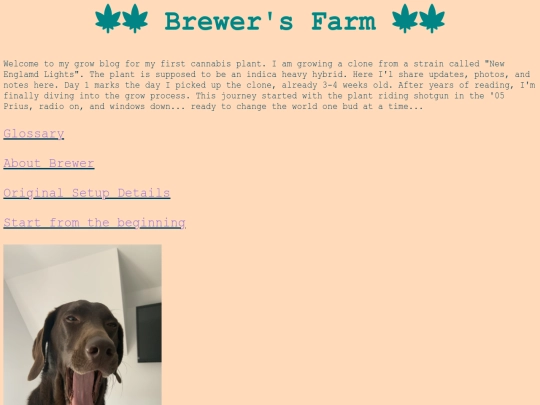 save11_9 screenshot
