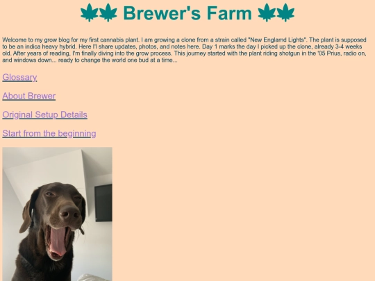 workingdoc screenshot