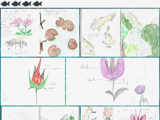 portfolio screenshot