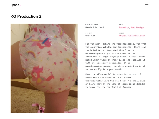 portfolio-single-3 screenshot