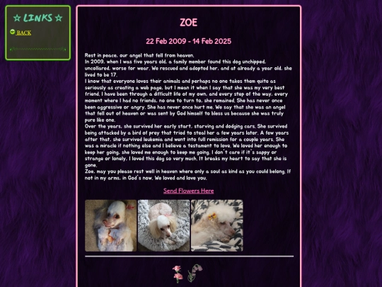 shrine/zoe screenshot