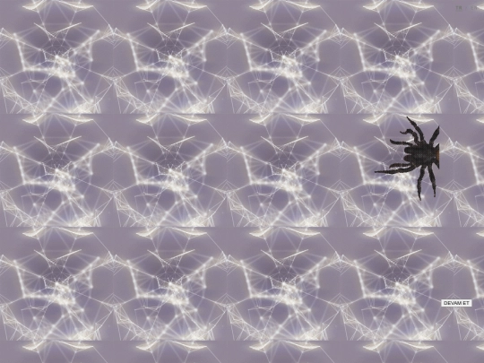 orumcek screenshot