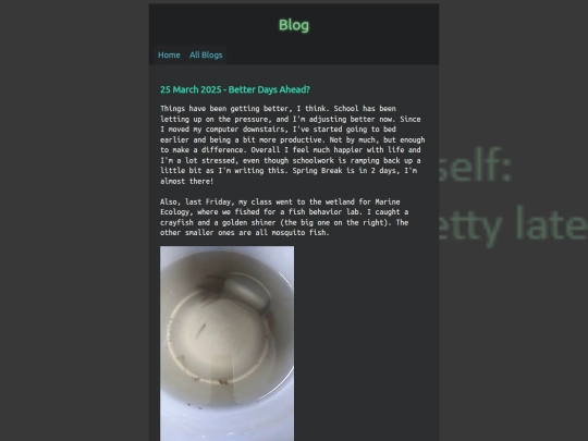 blogs/2025-03-25 screenshot