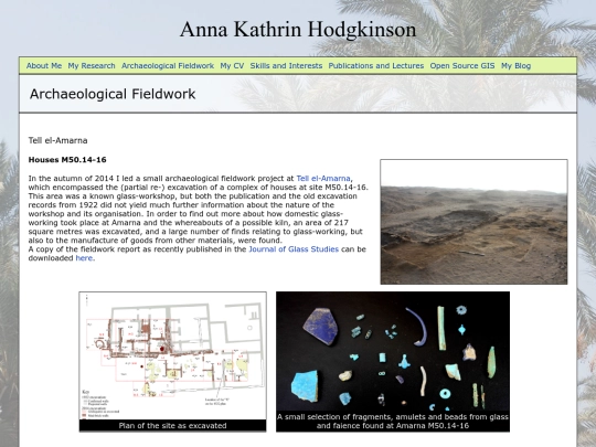 fieldwork screenshot