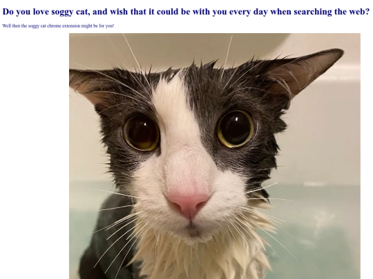 soggy screenshot