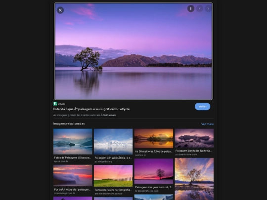 imagem/imgres screenshot