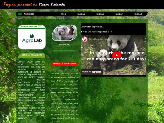 7a_entregaP2P/index-23 screenshot