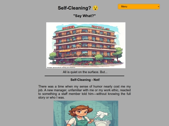 adult/hotel-hindsights/hotel screenshot