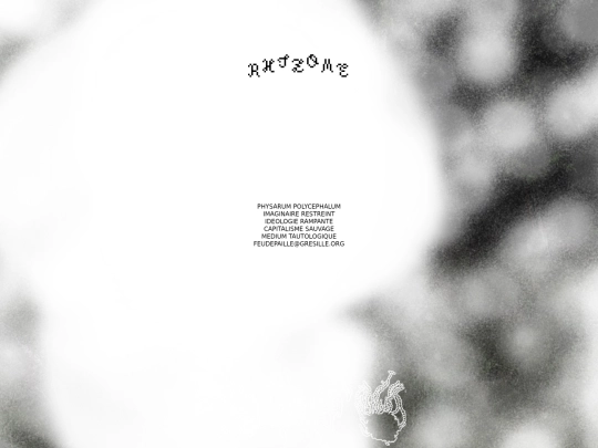 rhizome screenshot