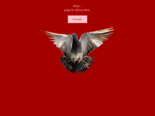 testing screenshot