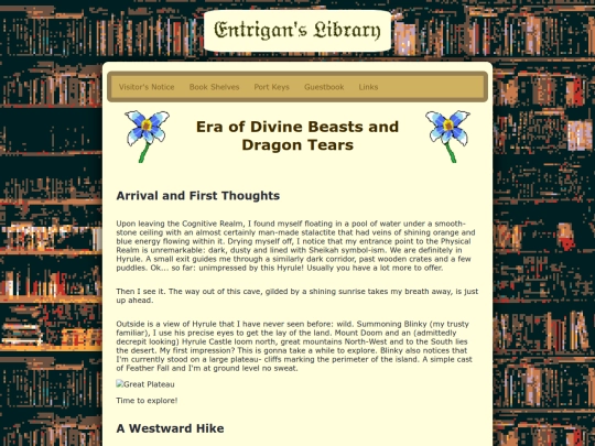 book-shelves/game-sites/hyrule/breath-and-tears screenshot
