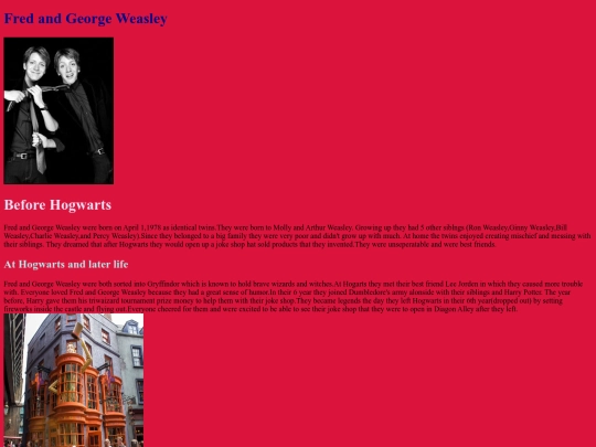 FredandGeorgeWeasley screenshot