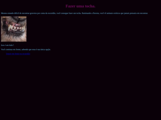 tocha screenshot