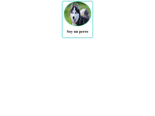 perro screenshot