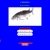 FISHSPIN avatar