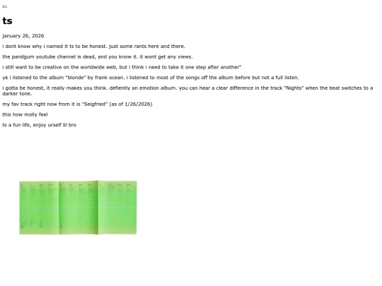 ts screenshot