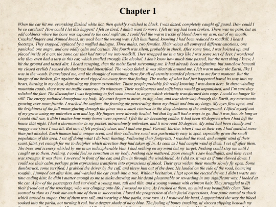 ***Main Pages***/chapters screenshot