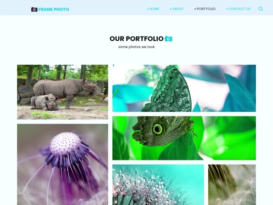 portfolio screenshot
