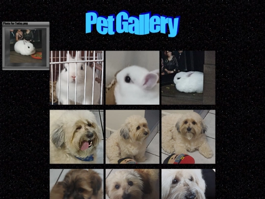 CatGallery screenshot