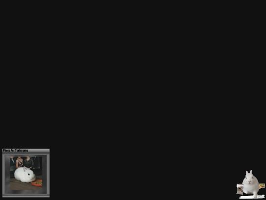 test4 screenshot