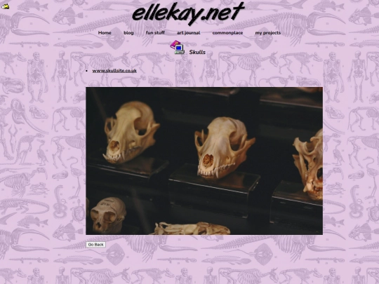 commonplace/skulls screenshot