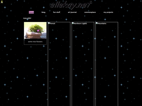 gallery screenshot