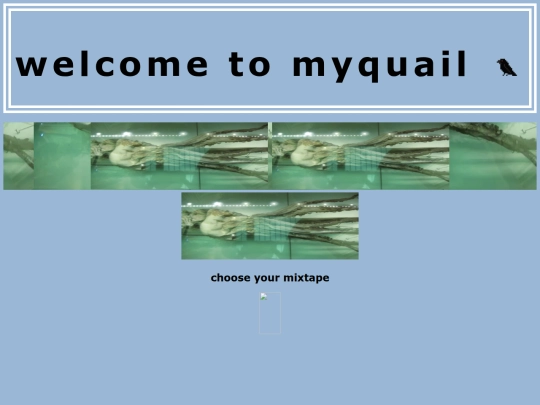 homepage screenshot